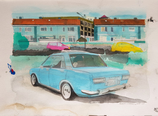 Albert Zwaan (1969) - Vogelbuurt & Datsun 510