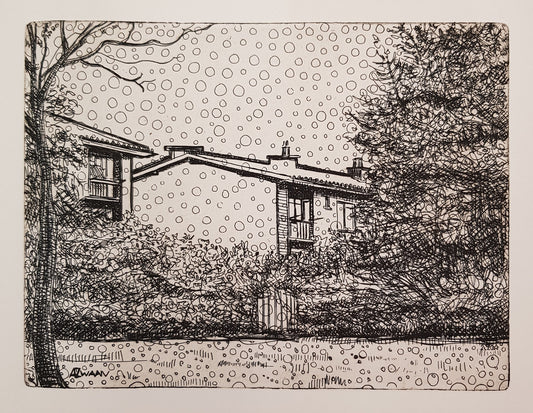 Albert Zwaan (1969) - Houses In Oud Krispijn